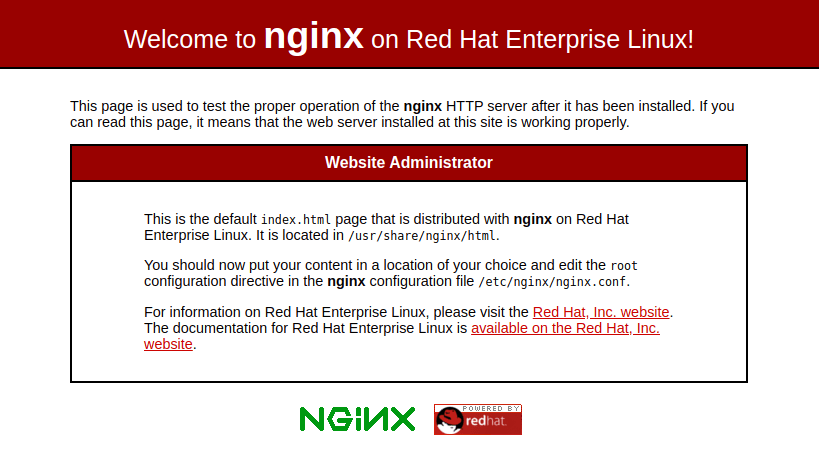 nginx default page